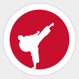 Kung Fu Japan Flag Sticker